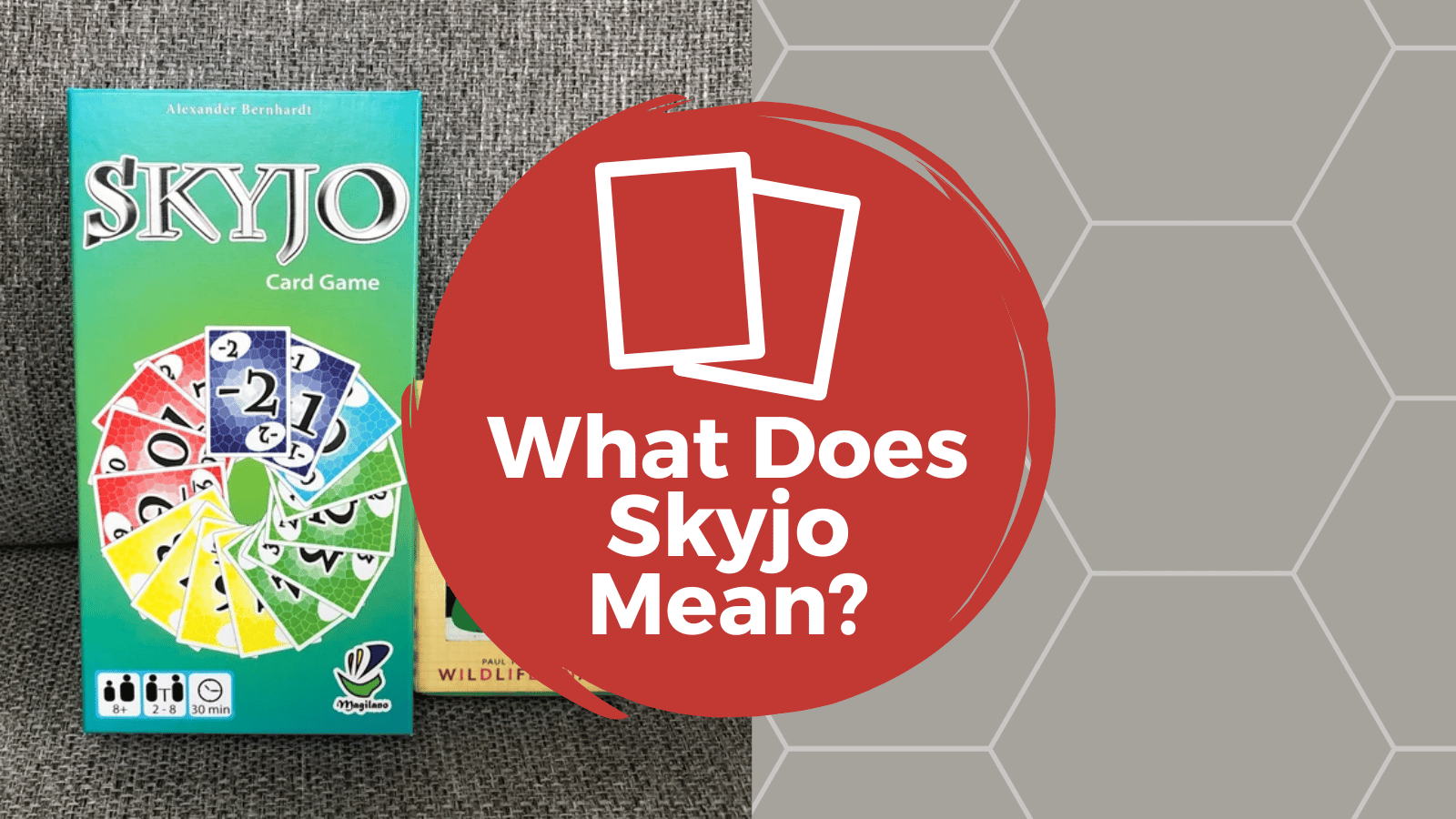 skyjo meaning